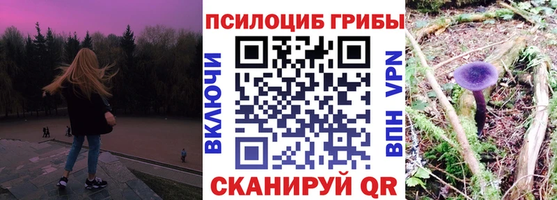 Галлюциногенные грибы GOLDEN TEACHER  Крым 